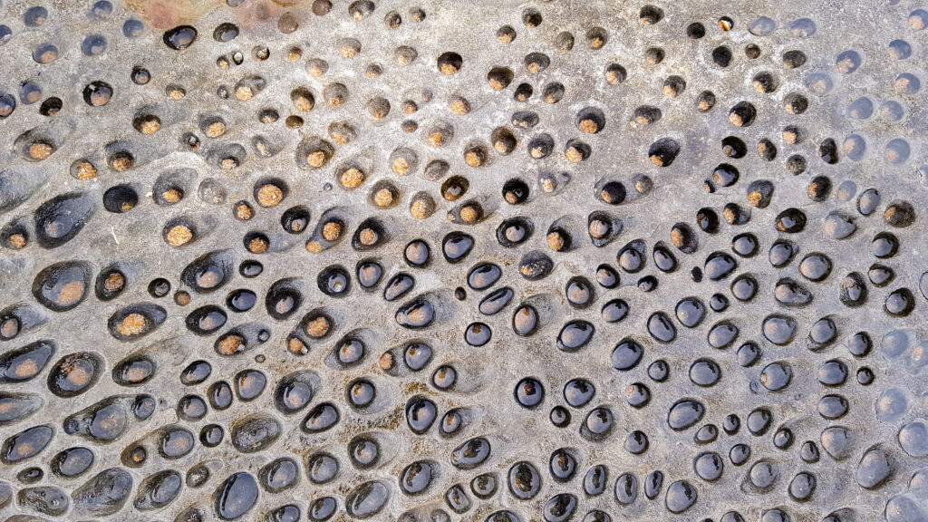 An irregular pattern of small holes in sand
